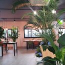 마로니에 미니골프 | [제주도 태교여행]이색적인 데이트 - 마로니에 미니골프카페(내돈내산)