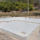 나무시스 이미지