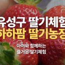 상석농장 이미지