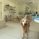 무병짱수 이미지