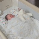 에이스환경 | 에이스침대 라쿠엘 아기침대 계약 후기