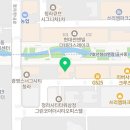 네코스토리(인천 청라점) 강아지 고양이 무료 보호 무료 입양 이미지