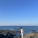 쉬고팡 민박 | [제주도여행] 제주 성읍민속마을(에어비앤비) 초가집숙소 쉬고팡 바다뷰 제주 해산물 식당 해녀의집