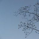 새벽 감성, 캐논 IXUS 800 (IXY 800) 후기 / 장단점 / 작례