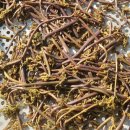 영덕농장 이미지