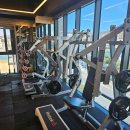 서홍수퍼4가 1 | [서귀포 헬스장] 더조아짐 서홍점 1년 회원의 장단점 전격리뷰