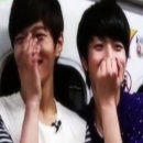 닥꽃