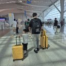 789 | 6세 아이와 함께한 후쿠오카 2박 3일 - 대한항공 KE789 탑승 후기, 기내식
