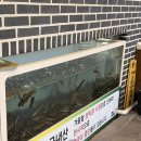 동천명가추어탕 | 용인 수지 추어탕 맛집, 정담명가 남원추어탕 후기
