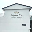 복목장 | 제주 서귀포카페 승마체험 함께 가능한 목장카페 밭디, 아이랑 가기 좋은 코스