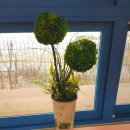 은천병설유치원 이미지