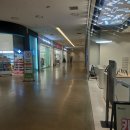 **스타필드 수원 다이소**방문 후기