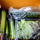 오이축산 이미지