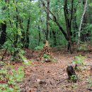 돌리네습지 초소 이미지