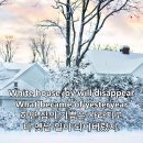 Casa Bianca의 White House 이미지