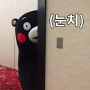 원펀짐 이미지