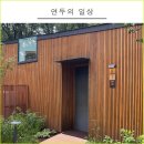 별빛 해바라기 헤어 | 노원 수락휴 자연휴양림 개별동 4인실 후기(시설, 가격 안내)