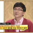 환요 이미지