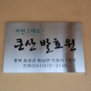 위타점꽃차협회 Daum카페