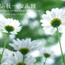 선기로2-5 이미지