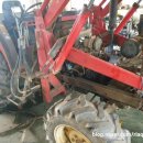 국제라지에타 이미지