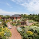 허브향기펜션 이미지