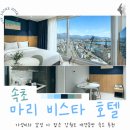 링크 늘푸른 애견호텔 | 속초 마리비스타 호텔: 가성비와 감성 다 잡은 강원도 애견동반 숙소 추천 (조식, 바비큐 정보 포함)