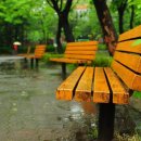 소향공원 이미지