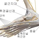 고명한의원 이미지