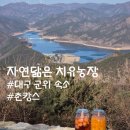 자연닮은 치유농장 | [대구 군위 숙소 추천] 산속 촌캉스 자연닮은치유농장 구름채 후기
