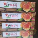 26.수달 복숭이 찬조 이재준님 ! 감사해요 이미지