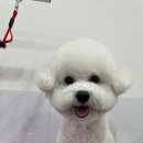 이뻐질개 이미지