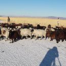 건초사료 이미지