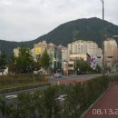 달천계곡 입구다리밑 네이버블로그