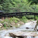 호명산밸리 이미지