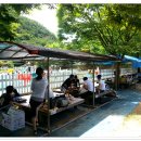 청산관광농원 캠핑장 이미지