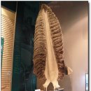 울산 장생포 고래박물관 나들이 이미지