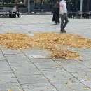 화요책수다ON | 11월의 알록달록한 기록 || november photo dump