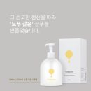 아미퓨어 발산점