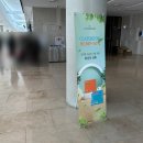 쌍용스윗닷홈(와우8리) | 봉담 행사 꽃다발 / 라비돌 신텍스 수원과학대 / 솜리플라워 봉담꽃집