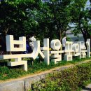 카페in 이미지