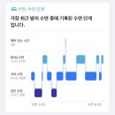 (주)조은렌트카 | 나혼자 제주도 여행🍊(2)