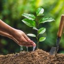 아리솔 태권도 이미지