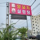 찐배네양꼬치설렁탕 | 천안양꼬치 제대로 즐긴 날! 천안양꼬치 맛집 솔직 후기