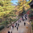 &#34;닫혀 있던 숲길이 58년 만에 열렸다&#34; 2시간 걷는 국내 최고 단풍길 명소 이미지