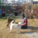 다우동물병원 이미지