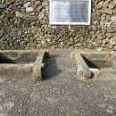 정당새미 이미지