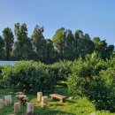 조천농장 이미지