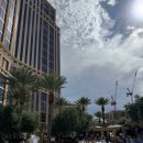 베네치안 | [미국 라스베가스 여행] 팔라초 앳 더 베네치안 호텔 후기(feat. 럭셔리 킹 스위트 룸, 호텔 수영장)