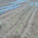 효기농장 이미지